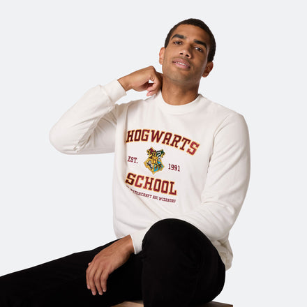 Miesten Hogwarts School Collegepusero