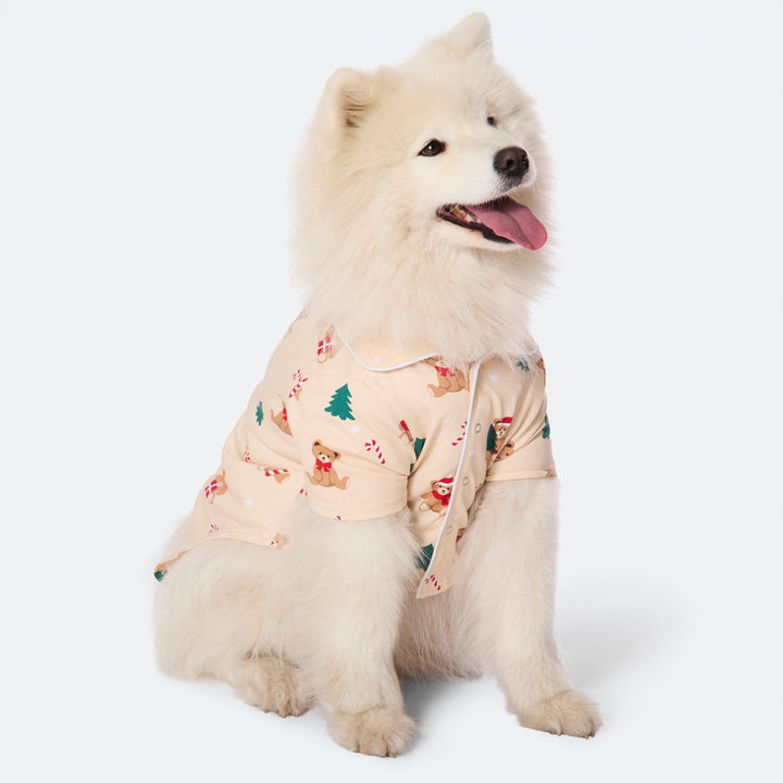 Koiran Beige Nallekarhu Joulupyjama