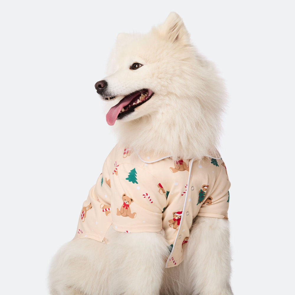 Koiran Beige Nallekarhu Joulupyjama
