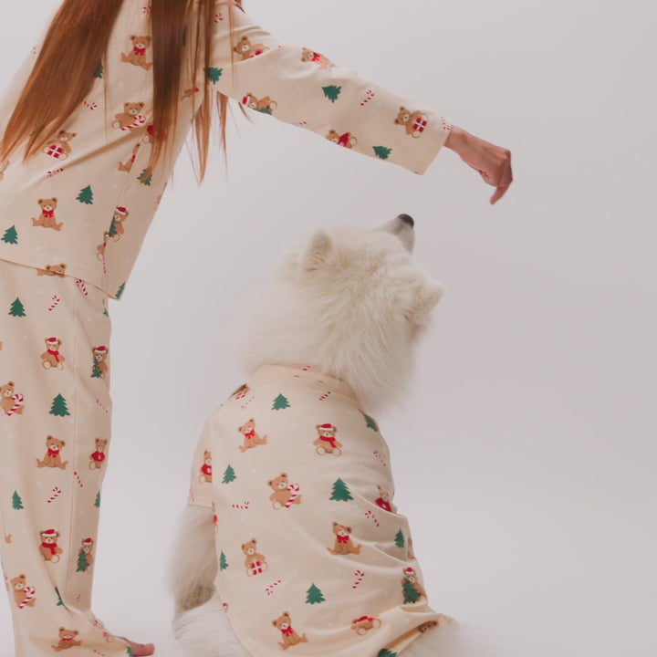 BE_TEDDY-BE-Dogs