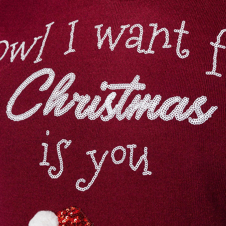 Naisten Owl I Want For Christmas Jouluneule
